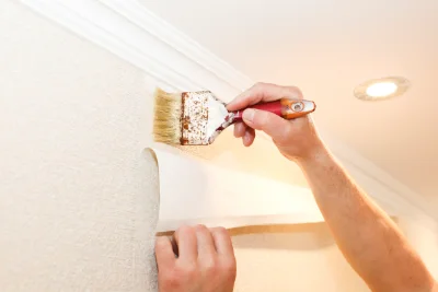 Pose de papier peint à Eyzahut — revêtements muraux et toiles de verre